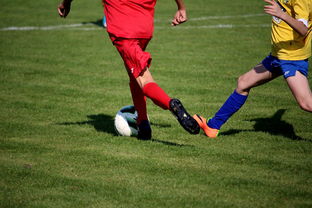 米兰体育登陆-世界青少年武术运动会中国队夺得多项荣誉,青少年武术冠军