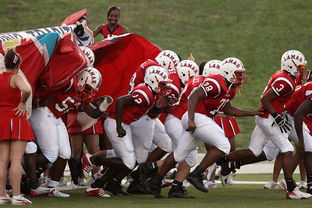 米兰体育APP-世界青少年游泳锦标赛中国队再添金牌,2021年青少年游泳锦标赛