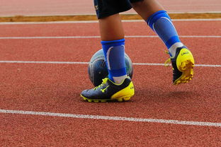 米兰体育正版平台-篮球运动员心理健康支持体系构建，篮球运动员心理健康支持体系构建方案